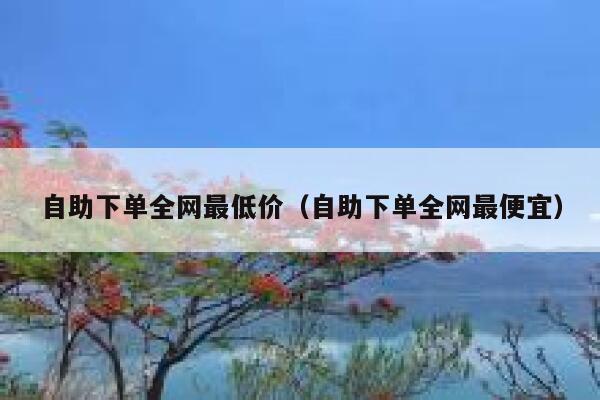 自助下单全网最低价（自助下单全网最便宜） 第1张