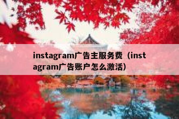instagram广告主服务费（instagram广告账户怎么激活） 第1张