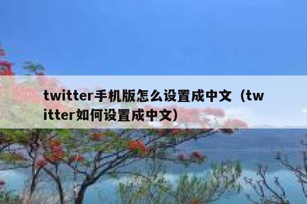 twitter手机版怎么设置成中文（twitter如何设置成中文） 第1张