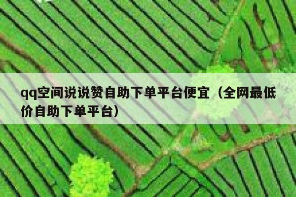qq空间说说赞自助下单平台便宜（全网最低价自助下单平台） 第1张