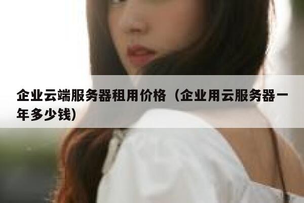 企业云端服务器租用价格（企业用云服务器一年多少钱） 第1张