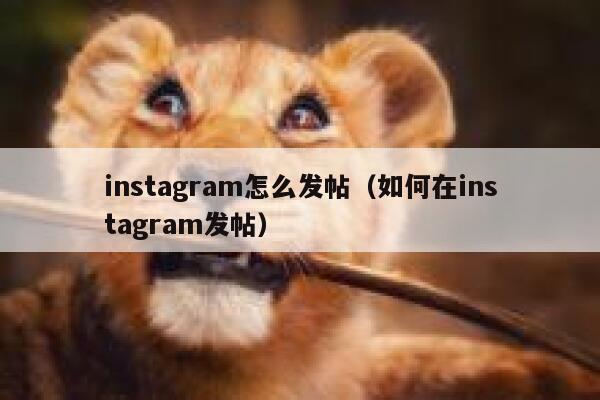 instagram怎么发帖（如何在instagram发帖） 第1张