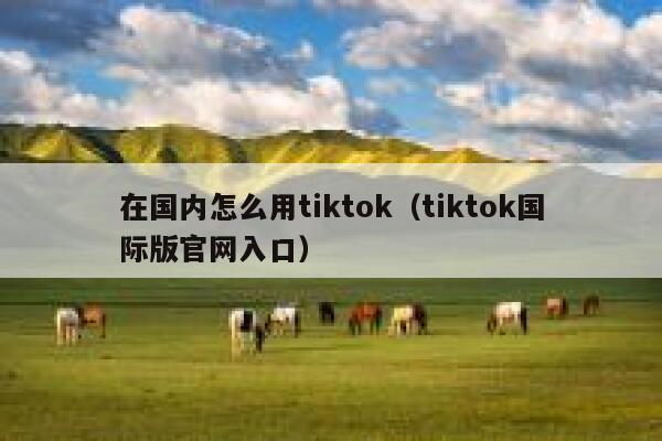在国内怎么用tiktok(tiktok国际版官网入口) 第1张 在国内怎么用tiktok(tiktok国际版官网入口) 第1张
