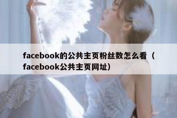 facebook的公共主页粉丝数怎么看(facebook公共主页网址) 第1张 facebook的公共主页粉丝数怎么看(facebook公共主页网址) 第1张