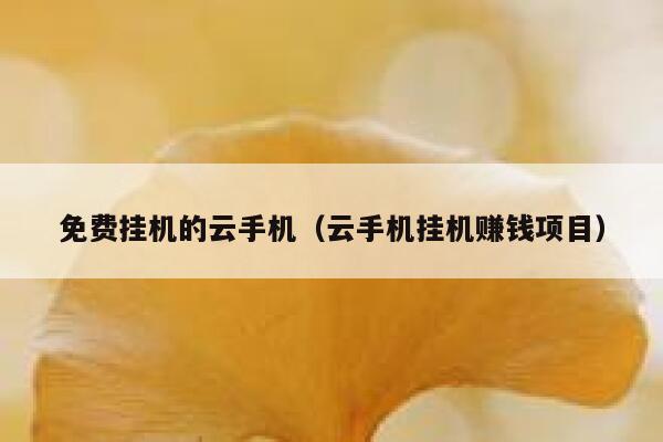 免费挂机的云手机(云手机挂机赚钱项目) 第1张 免费挂机的云手机(云手机挂机赚钱项目) 第1张
