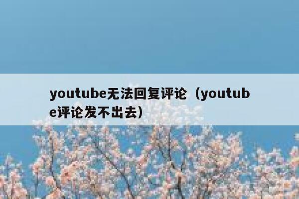 youtube无法回复评论（youtube评论发不出去） 第1张
