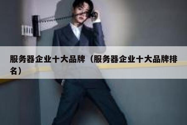 服务器企业十大品牌(服务器企业十大品牌排名) 第1张 服务器企业十大品牌(服务器企业十大品牌排名) 第1张