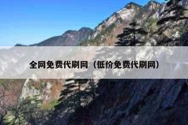 全网免费代刷网（低价免费代刷网） 第1张