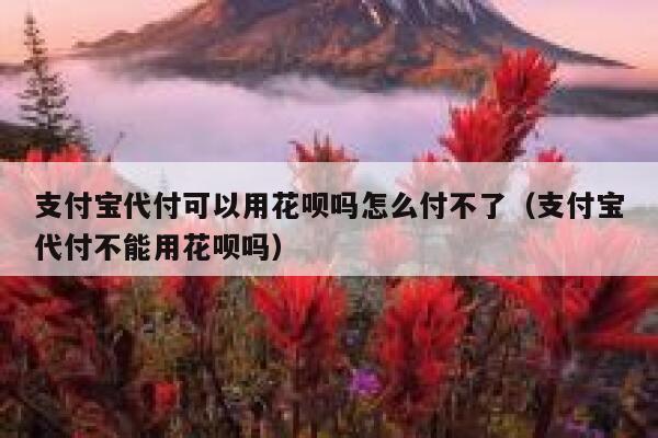 支付宝代付可以用花呗吗怎么付不了（支付宝代付不能用花呗吗） 第1张