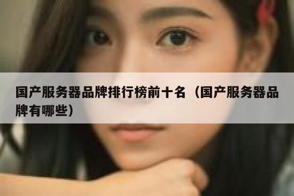 国产服务器品牌排行榜前十名（国产服务器品牌有哪些） 第1张