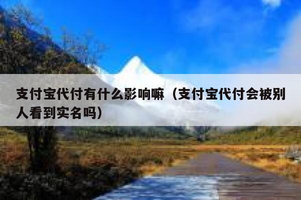 支付宝代付有什么影响嘛（支付宝代付会被别人看到实名吗） 第1张