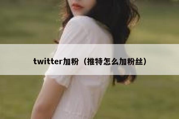 twitter加粉（推特怎么加粉丝） 第1张