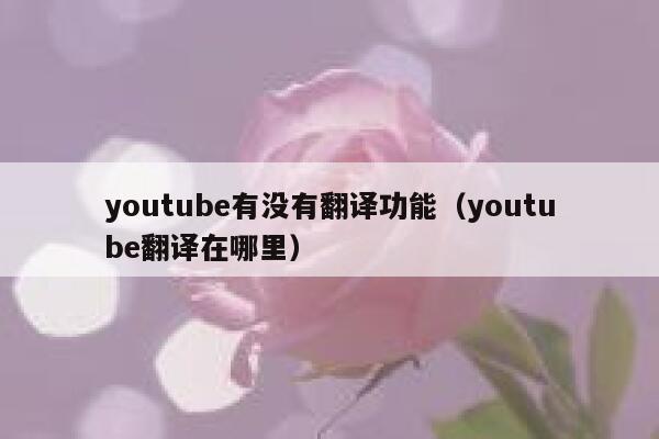 youtube有没有翻译功能（youtube翻译在哪里） 第1张