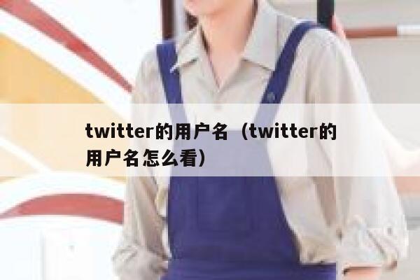 twitter的用户名（twitter的用户名怎么看） 第1张
