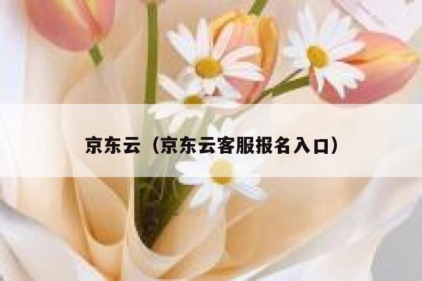 京东云（京东云客服报名入口） 第1张