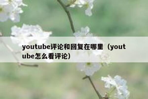 youtube评论和回复在哪里（youtube怎么看评论） 第1张