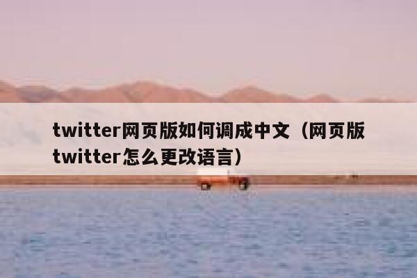twitter网页版如何调成中文（网页版twitter怎么更改语言） 第1张
