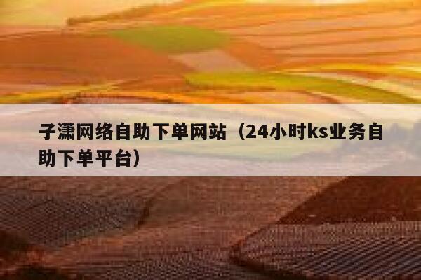 子潇网络自助下单网站（24小时ks业务自助下单平台） 第1张