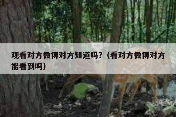 观看对方微博对方知道吗?（看对方微博对方能看到吗） 第1张
