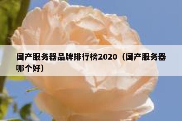 国产服务器品牌排行榜2020（国产服务器哪个好） 第1张