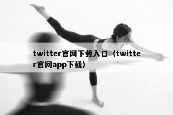twitter官网下载入口（twitter官网app下载） 第1张