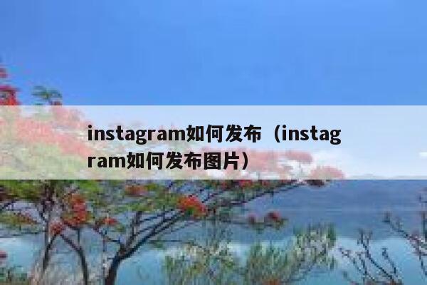 instagram如何发布（instagram如何发布图片） 第1张