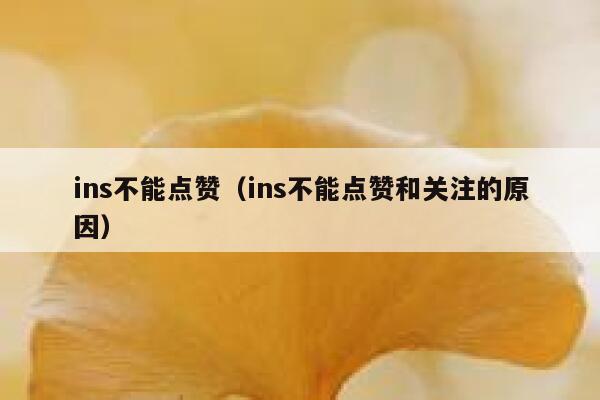 ins不能点赞（ins不能点赞和关注的原因） 第1张