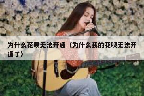 为什么花呗无法开通（为什么我的花呗无法开通了） 第1张