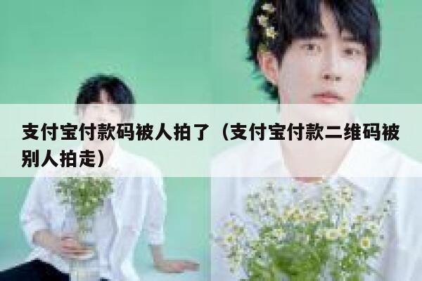 支付宝付款码被人拍了（支付宝付款二维码被别人拍走） 第1张
