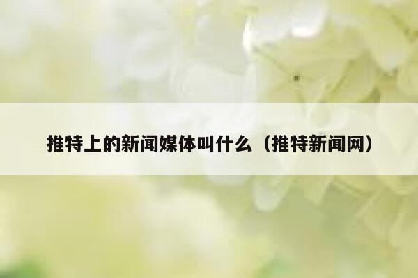 推特上的新闻媒体叫什么（推特新闻网） 第1张