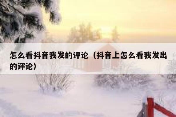 怎么看抖音我发的评论（抖音上怎么看我发出的评论） 第1张