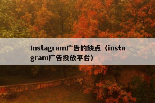 Instagram广告的缺点（instagram广告投放平台） 第1张