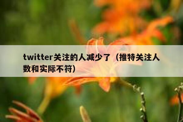 twitter关注的人减少了（推特关注人数和实际不符） 第1张