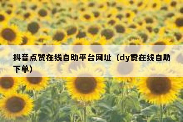 抖音点赞在线自助平台网址（dy赞在线自助下单） 第1张