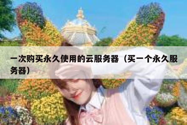 一次购买永久使用的云服务器(买一个永久服务器) 第1张 一次购买永久使用的云服务器(买一个永久服务器) 第1张