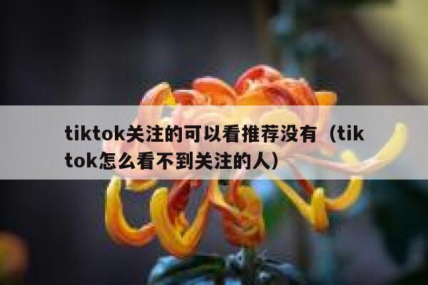 tiktok关注的可以看推荐没有(tiktok怎么看不到关注的人) 第1张 tiktok关注的可以看推荐没有(tiktok怎么看不到关注的人) 第1张