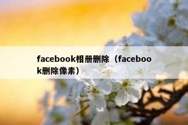 facebook相册删除（facebook删除像素） 第1张