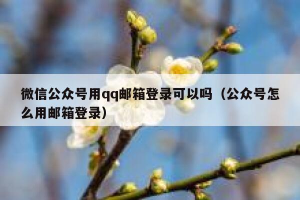 微信公众号用qq邮箱登录可以吗(公众号怎么用邮箱登录) 第1张 微信公众号用qq邮箱登录可以吗(公众号怎么用邮箱登录) 第1张