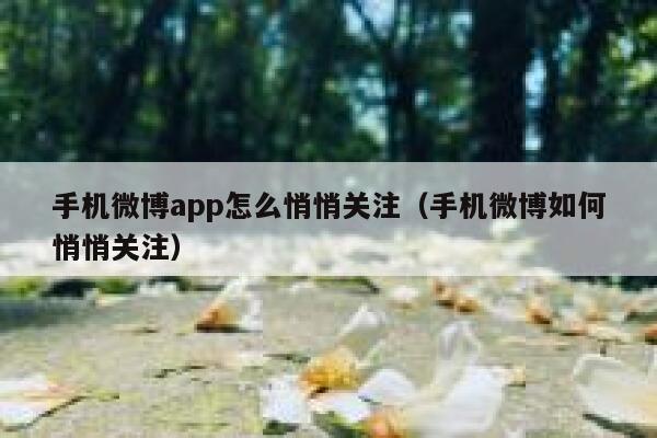 手机微博app怎么悄悄关注（手机微博如何悄悄关注） 第1张