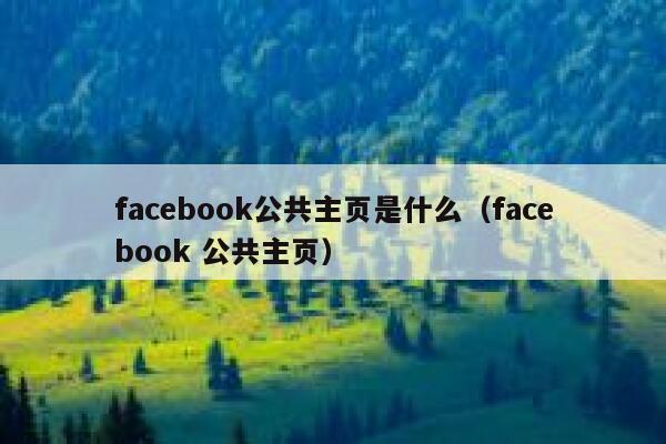 facebook公共主页是什么（facebook 公共主页） 第1张