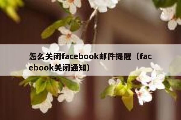 怎么关闭facebook邮件提醒（facebook关闭通知） 第1张