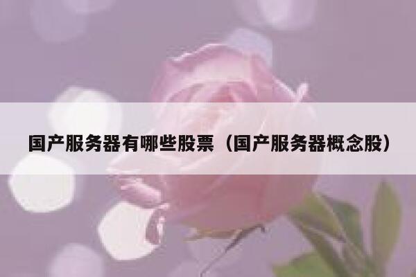 国产服务器有哪些股票（国产服务器概念股） 第1张