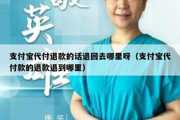 支付宝代付退款的话退回去哪里呀（支付宝代付款的退款退到哪里） 第1张