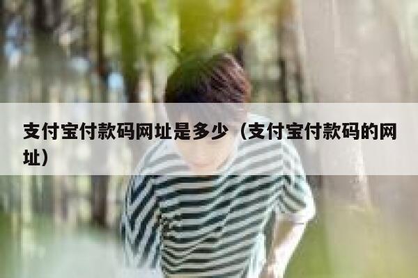 支付宝付款码网址是多少（支付宝付款码的网址） 第1张