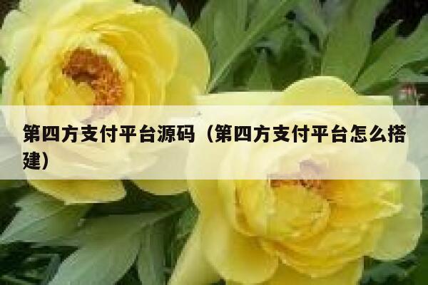 第四方支付平台源码（第四方支付平台怎么搭建） 第1张