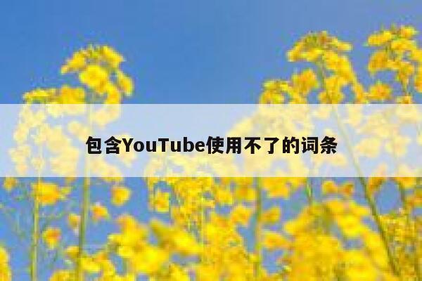包含YouTube使用不了的词条 第1张