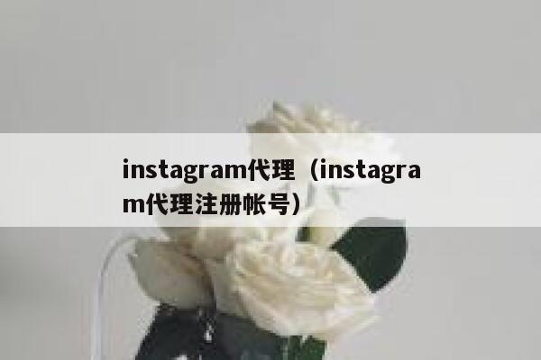 instagram代理（instagram代理注册帐号） 第1张