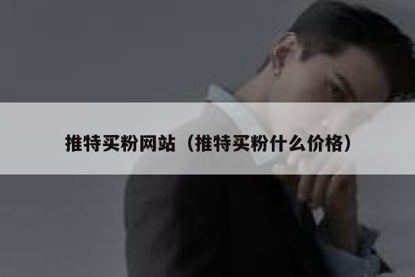 推特买粉网站（推特买粉什么价格） 第1张