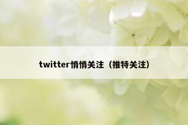 twitter悄悄关注(推特关注) 第1张 twitter悄悄关注(推特关注) 第1张
