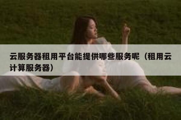 云服务器租用平台能提供哪些服务呢（租用云计算服务器） 第1张